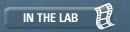 In the Lab