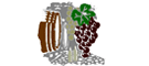 JPS WS Sa (Le Clos du Renard)