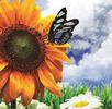 Assisted Healthcare Services