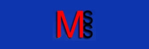MSS Services, Inc