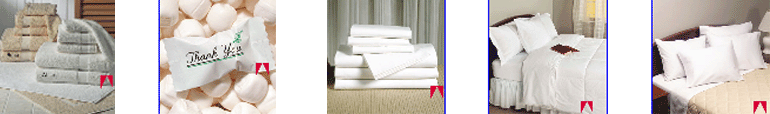 American Hotel Register